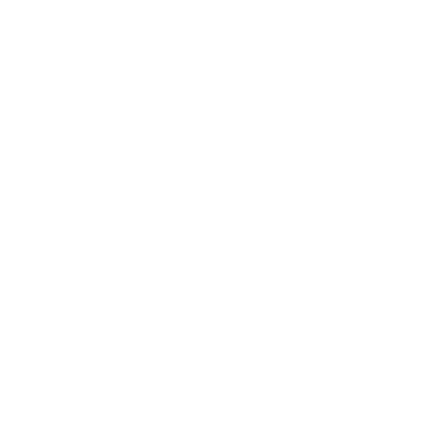 STP_Logo_Blanc_Renverse_RGB copy